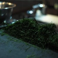 画像244
