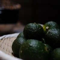 画像248