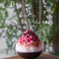 画像809