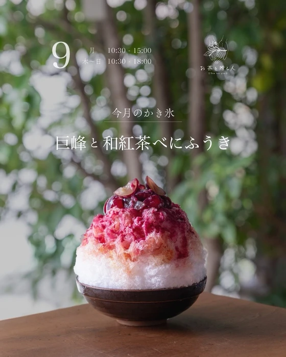 画像809